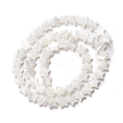 Natural Trochid Shell/Trochus Shell Beads SSHEL-O001-25B-02-1