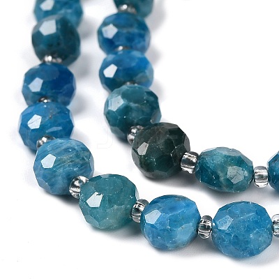 Natural Apatite Beads Strands G-B153-B05-1