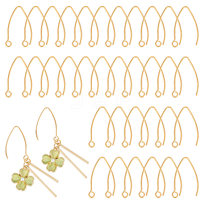 50Pcs Ion Plating(IP) 304 Stainless Steel Earring Hooks STAS-UN0058-58-1