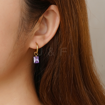 304 Stainless Steel Hoop Earrings AY4063-3-1