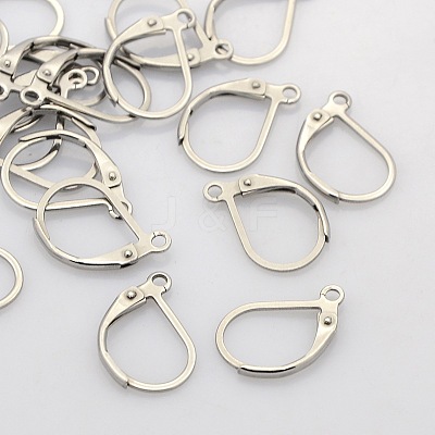 Tarnish Resistant 304 Stainless Steel Leverback Earring Findings STAS-N019-06-1