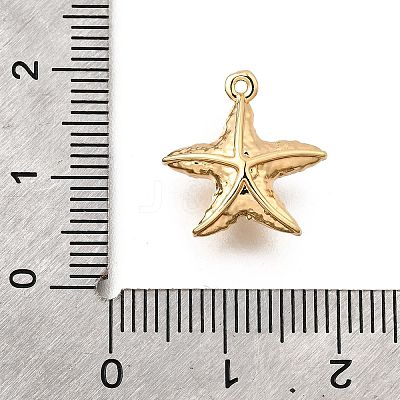 Brass Pave Clear Cubic Zirconia Charms KK-C096-14B-G-1