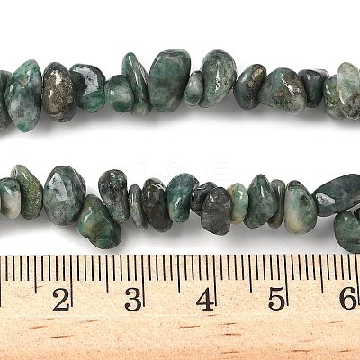 Natural Jade Beads Strands G-Z081-A02-1