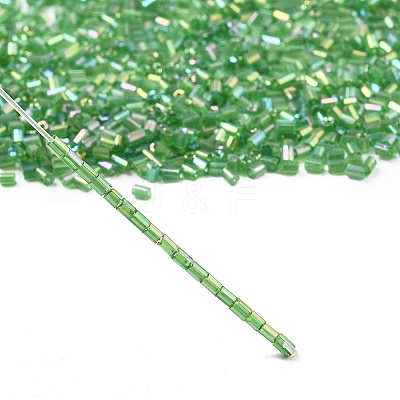 Two Cut Glass Seed Beads CSDB167-1