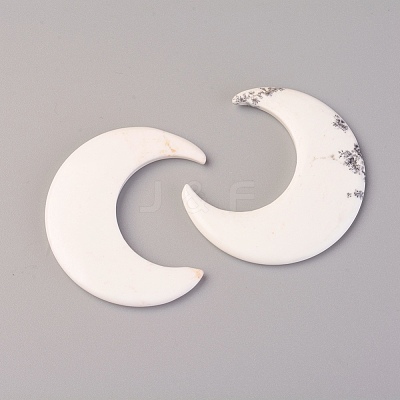 Natural Howlite Cabochons TURQ-L031-045-1