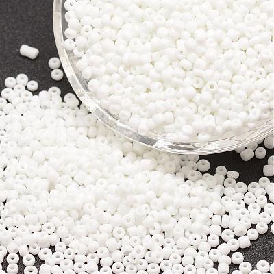 6/0 Glass Seed Beads SEED-J014-F6-41-1