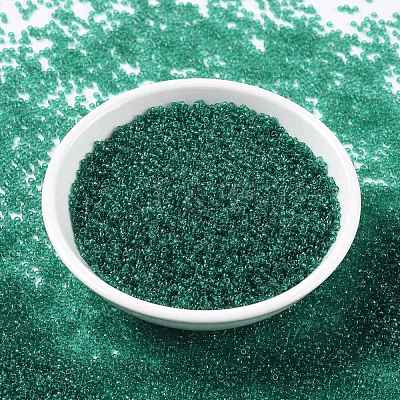 MIYUKI Round Rocailles Beads X-SEED-G009-RR0147-1