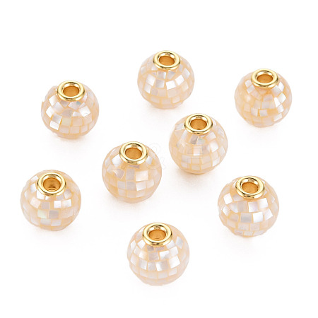Natural White Shell Mother of Pearl Shell Beads SSHEL-T014-45A-1