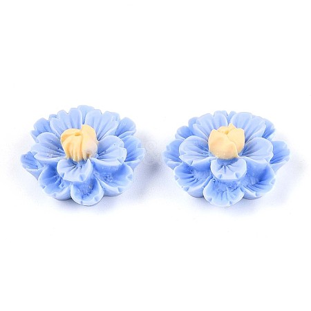 Resin Decoden Cabochons CRES-T025-04C-1