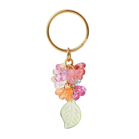 Transparent Leaf & Flower Acrylic Keychains with Iron Split Key Ring KEYC-JKC00424-1