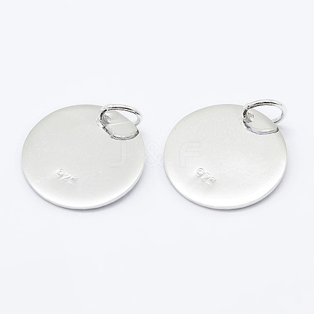 925 Sterling Silver Pendants STER-K167-006C-S-1