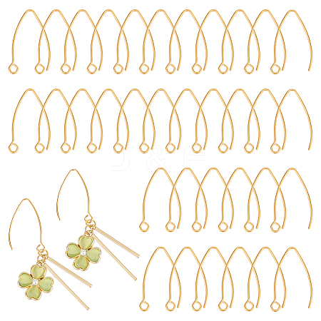 50Pcs Ion Plating(IP) 304 Stainless Steel Earring Hooks STAS-UN0058-58-1