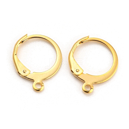 304 Stainless Steel Leverback Earring Findings STAS-D448-041G-1