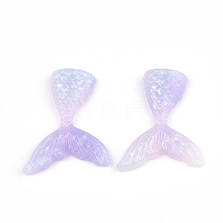 Opaque Resin Cabochons X-CRES-S304-42-1