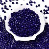 Opaque Baking Paint Glass Seed Beads SEED-T008-02V-2