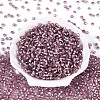 Silver Lined Glass Seed Beads SEED-T007-18A-10-2