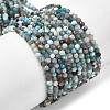 Natural Apatite Beads Strands G-K366-C05-2mm-2