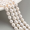 Natural Cultured Freshwater Pearl Beads Strands PEAR-P062-09C-2