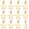 16Pcs Brass Pendants KK-BC0013-78-1