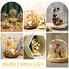 Glass Dome Cover DIY-WH0504-317C-5