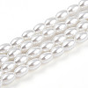 Baking Paint Pearlized Glass Pearl Bead Strands HY-T002-01C-01-3