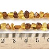 Natural Amber Beads Strands G-L095-E01-03-5