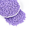 Baking Paint Glass Seed Beads SEED-N007-29A-1