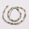 Natural Tree Agate Bead Strands G-G882-6mm-E02-3