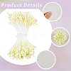 6Bundles Gypsum with Cotton Cord Artificial Flower Core DIY-GF0014-10A-6