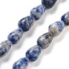 Natural Blue Spot Jasper Beads Strands G-B106-A15-01-1