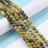 Natural Yellow Turquoise(Jasper) Beads Strands GSR10mmC007-2