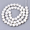 Natural Freshwater Shell Beads Strands SHEL-N026-50A-01-2