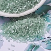 MIYUKI Delica Beads SEED-JP0008-DB0829-1