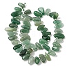 Natural Green Aventurine Beads Strands GG-CBADF20-A09-2