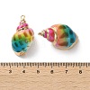 Conch Shell Pendants SSHEL-B002-06C-3