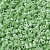 Baking Paint Glass Seed Beads X-SEED-S042-15A-08-3