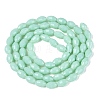 Opaque Solid Color Glass Beads Strands GLAA-N071-01A-C05-2