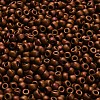 TOHO 6/0 Round Beads SEED-XTR06-0618-4