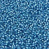MIYUKI Delica Beads SEED-JP0008-DB1709-3