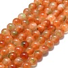 Natural Malaysia Jade Beads Strands G-L645-C01-6mm-29-1