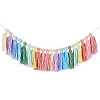 Cotton Tassel Hanging Wall Art Decorations HJEW-WH20003-20A-1