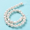 Natural Cultured Freshwater Pearl Beads Strands PEAR-Z002-04-3