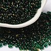 Spray Painted Glass Seed Beads SEED-F005-10A-02-1