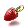 Brass with Enamel Charms KK-Q066-01E-G-2
