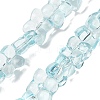 Transparent Glass Beads Strands GL-CBAAE04-01C-1