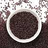 Indigo 11/0 Round Transparent Glass Seed Beads X-SEED-Q007-F57-5