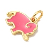 Rack Plating Brass Enamel Charms KK-L220-024G-02-2