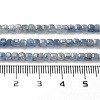 Natural Kyanite/Cyanite/Disthene Beads Strands G-B088-E24-03-5