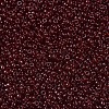 MIYUKI Round Rocailles Beads SEED-X0054-RR2410-3