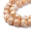 Natural Trochid Shell Beads Strands SSHEL-G023-04B-3